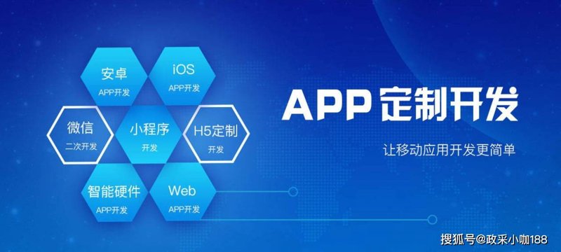 应用软件定制